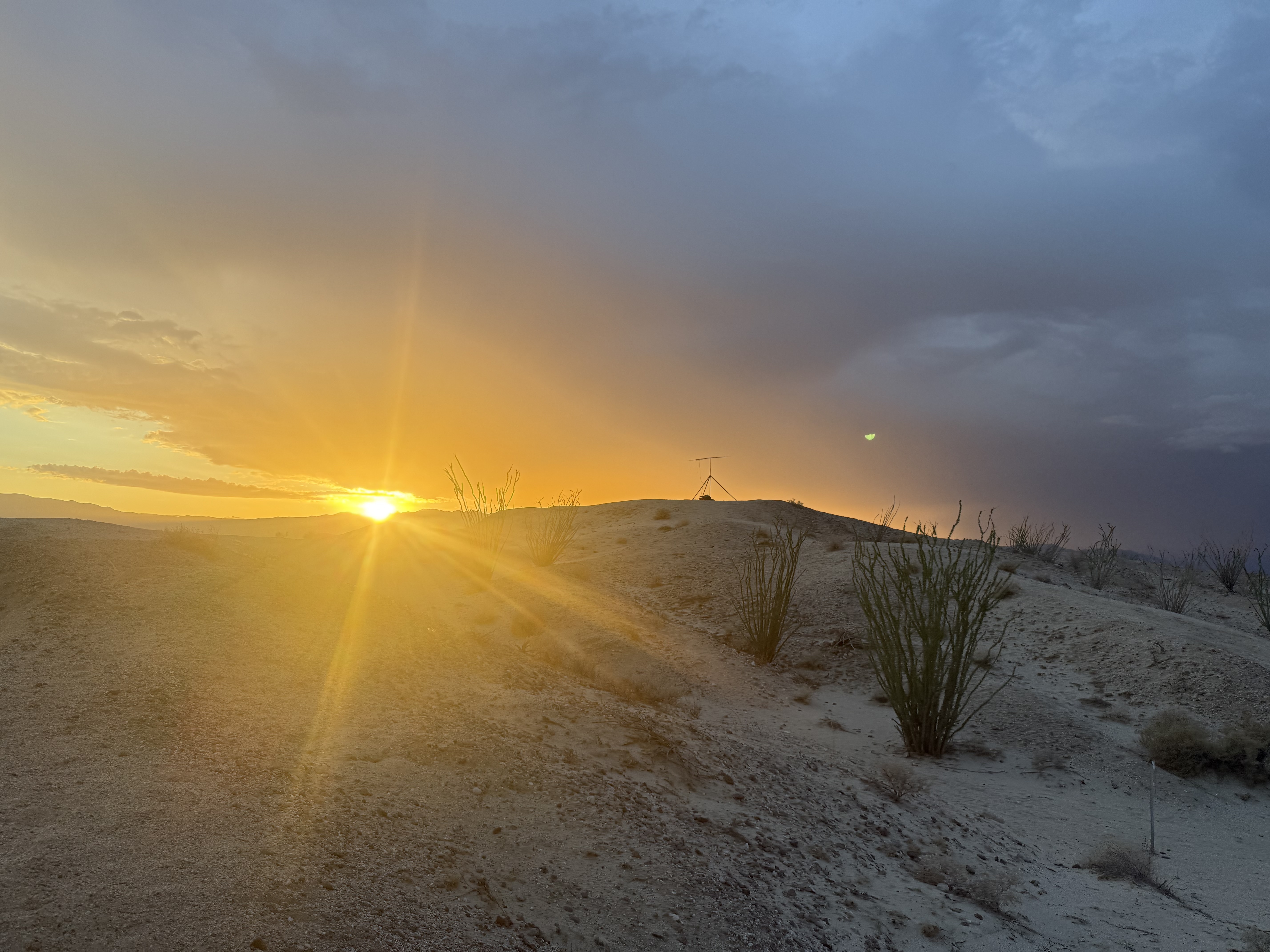 Sunset